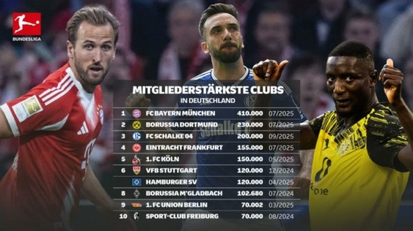 德国俱乐部注册会员数目榜：拜仁41万居首，多特、沙尔克二三位